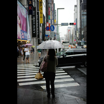 Nauka ogrodnictwa i architektury krajobrazu: Klucz do tworzenia zrównoważonych przestrzeni zielonych